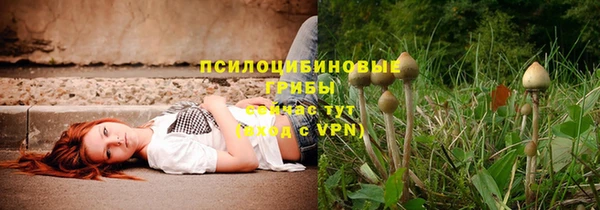 мескалин Алексеевка