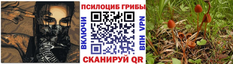 Псилоцибиновые грибы Psilocybine cubensis  МЕГА ССЫЛКА  Новоузенск 